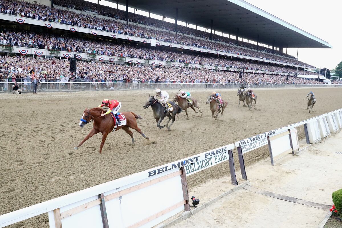 Belmont Stakes 2018: What Video Replay Shows About Justify's Win