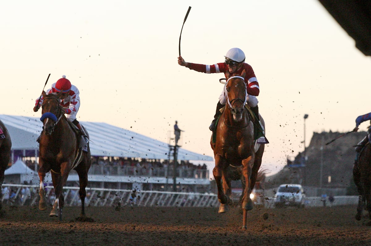 Breeders' Cup 2018: Odds and Predictions for All Races