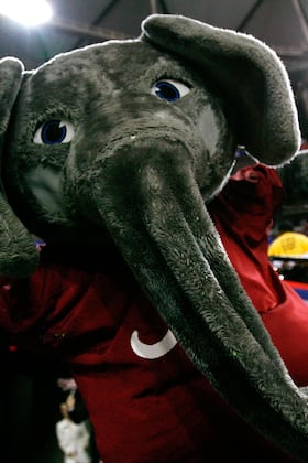 15 Unintimidating Mascots Least Likely to Steal Your Girlfriend