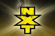 WWE Fantasy: NXT 1/24
