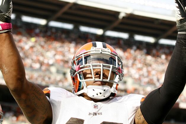 Cleveland Browns 2012 Plan: Safety UFA Prospects They Should Sign