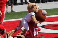 15 Most Savage Mascot Fights in Sports History