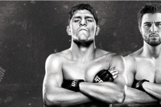 UFC 143 Fight Card: Info and Predictions for Every Fight