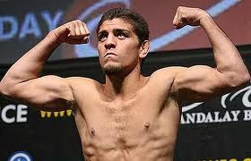 UFC 143 Results: What's Next for the Losers?