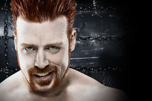 WWE Elimination Chamber 2012: The Second Leg to WrestleMania 28, Pt. 2