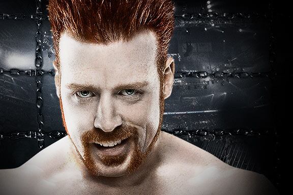 WWE Elimination Chamber: Resulting Questions from Questionable Results