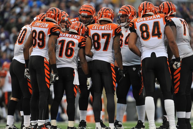 Cincinnati Bengals: Four Home Games Worth Seeing in Person in 2012