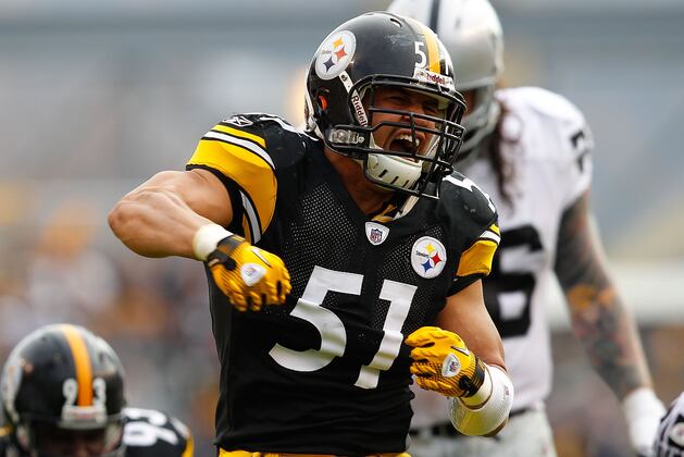 Pittsburgh Steelers: Top 5 Free-Agent Signings of the Kevin Colbert Era
