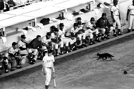 15 of the Unluckiest Moments in MLB History