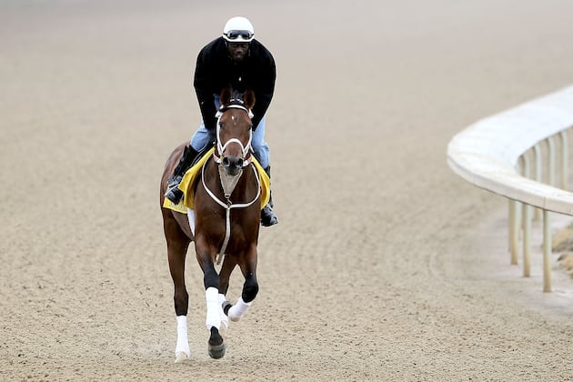 Kentucky Derby Field 2012: Who, Outside of the Favorites, Will Contend?