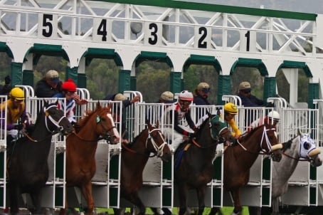 Kentucky Derby 2012: Bold Predictions for This Year's Triple Crown