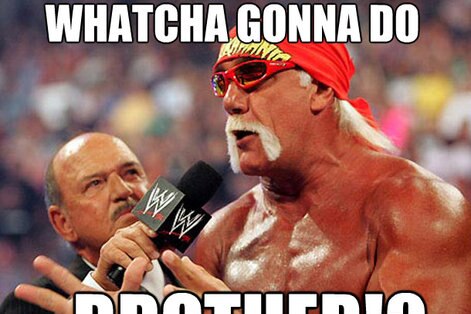 Hulk Hogan Quotes What You Gonna Do Hulk Hogan Quotes What You Gonna Do