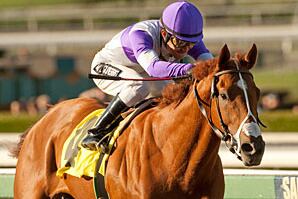 Preakness Odds 2012: Betting Guide to Favorites and Contenders