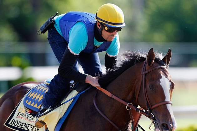 Bodemeister: What Experts Are Saying About the Preakness 2012 Contender
