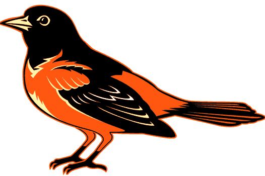 The Baltimore Orioles: The Good, Bad and Oddest Occurrences in Their History