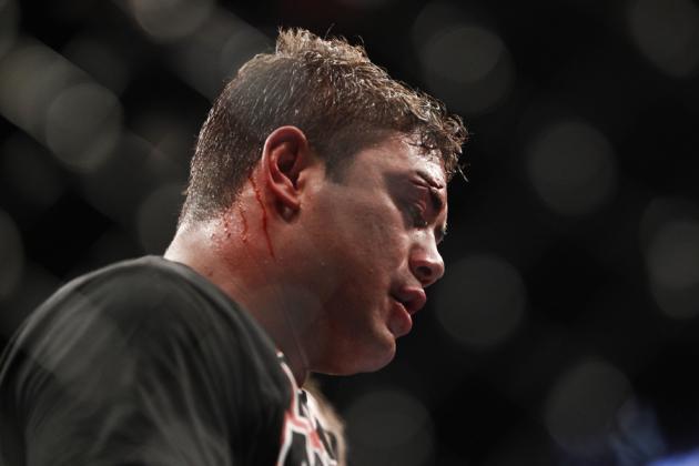 UFC 146 Results: 5 Fights for Shane Del Rosario to Take Next