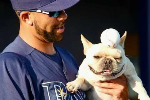 30 of the Most Adorable Pets in Sports