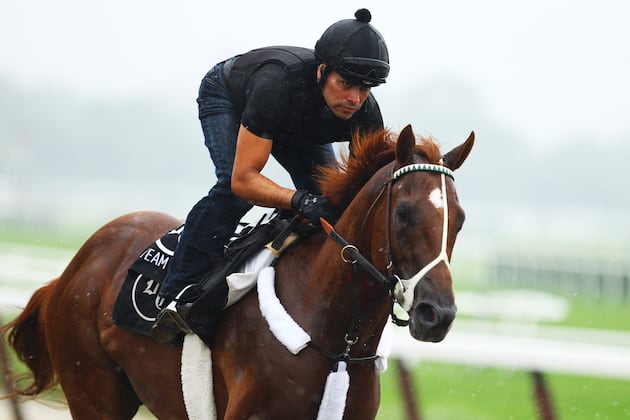 Belmont Stakes 2012: Breaking Down Odds for Every Contender