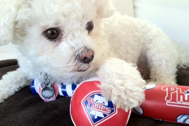 Philadelphia Phillies Have Gone to the Dogs
