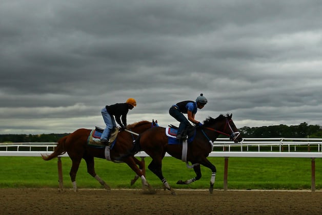 Belmont Stakes 2012 Odds: Betting Guide to Favorites and Dark Horses