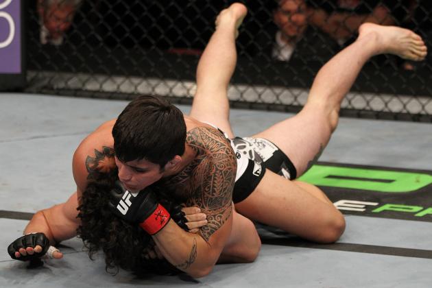 UFC on FX 3 Results: Five Fights for Erick Silva to Take Next