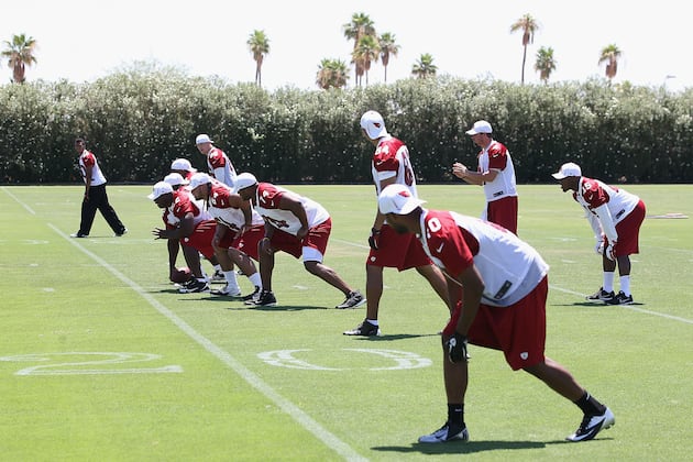 One Thing We Learned About Each NFL Team from OTAs