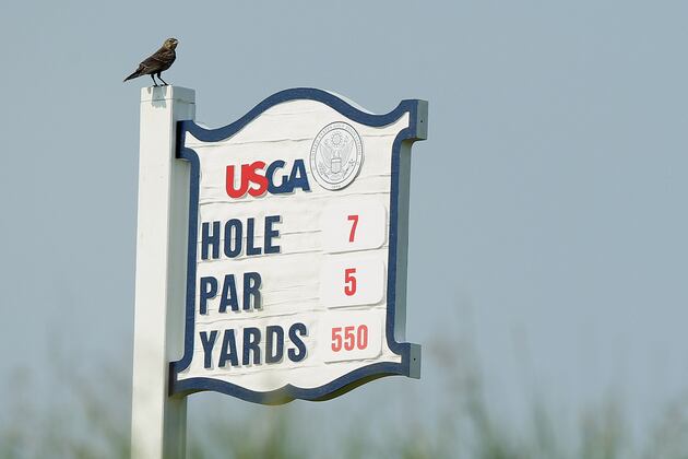US Women's Open 2012: 8 Stars to Watch