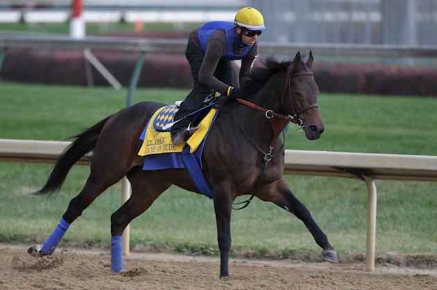 Breeder's Cup Prep: Complete Hollywood Gold Cup Preview