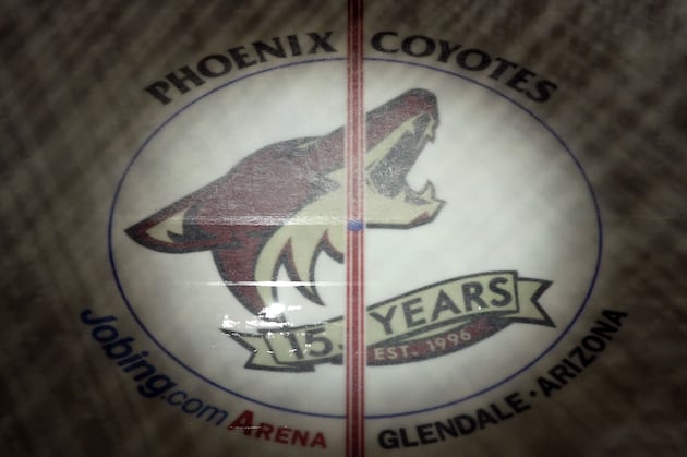 The 10 Toughest Phoenix Coyotes NHL Players in Franchise History