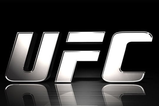 The Future of the Ultimate Fighting Championship