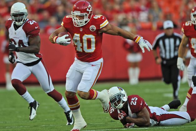 2012 Fantasy Football: Players to Draft or Avoid from Each NFL Team