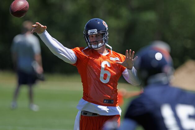 Chicago Bears 2012 Preseason: An Overview of the Unofficial Depth Chart