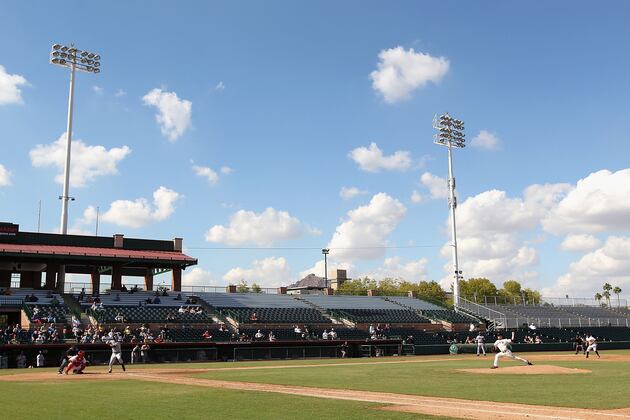 Top 10 Best Logos in Minor League Baseball