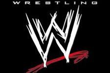How to Make the Wrestling Industry Boom Again
