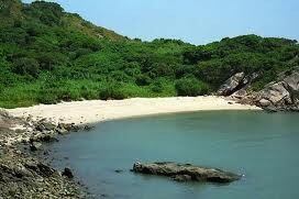 5 MMA Fighters Whose Talents Will Help on a Deserted Island