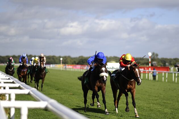 NTRA Poll for September 17: A Review