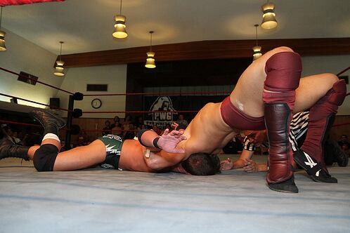 Daniel Bryan's Cattle Mutilation and 5 Moves WWE Superstars Should Bring Back