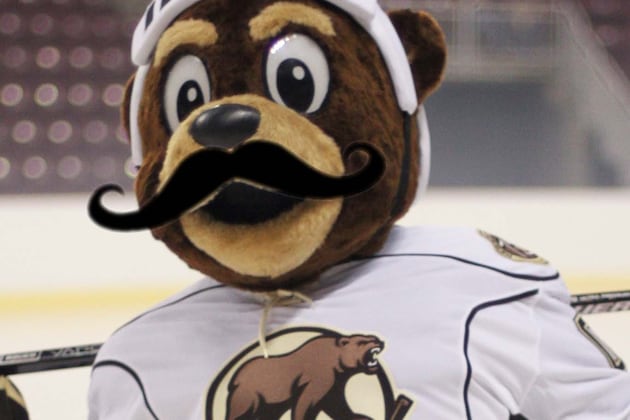 NHL Lockout: 8 Reasons Why Caps Fans Need to Watch the Hershey Bears