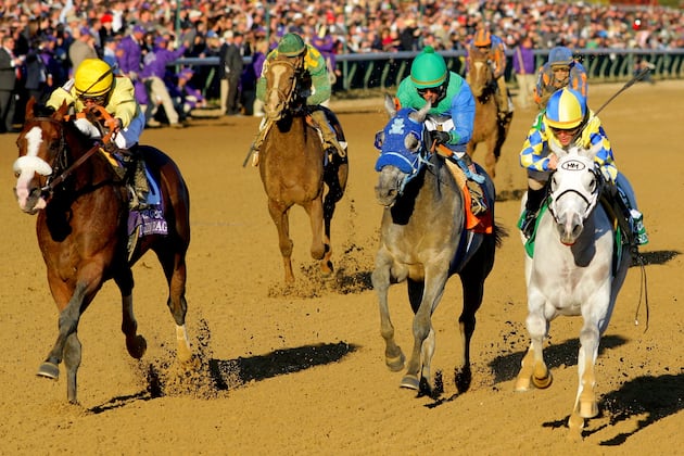 Where Are They Now? The 2011 Breeders' Cup Juvenile Field
