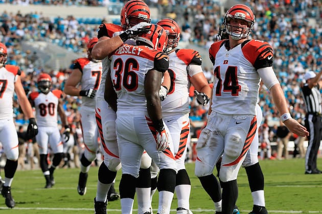 Cincinnati Bengals: 1st-Quarter Grades for the 2012 Season