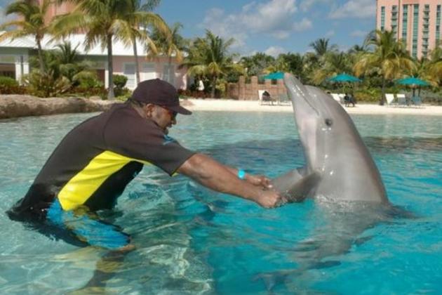 50 Cutest Photos in Sports