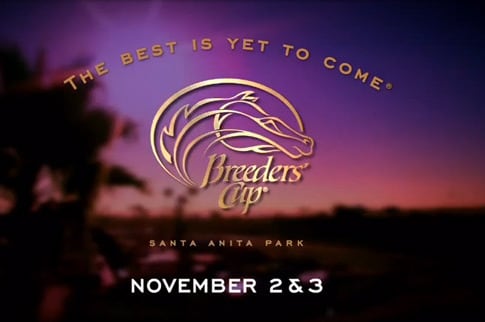 2012 Breeders' Cup Contenders: Handicapping the Entire Field