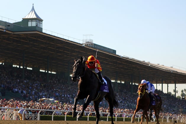 Five European Raiders to Make an Impression at the 2012 Breeders Cup