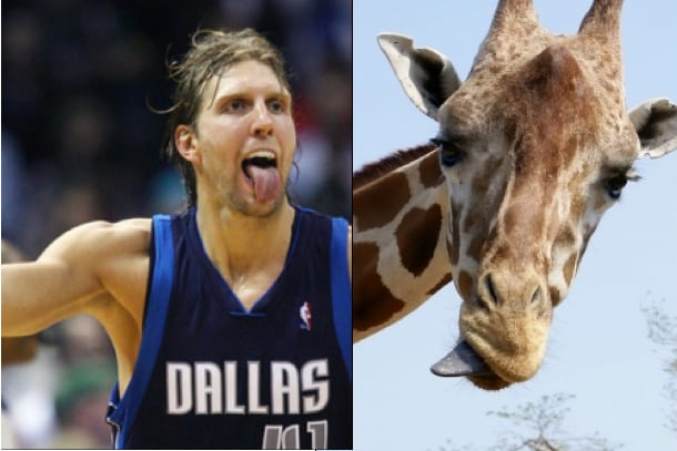 20 Athletes Who Look Like Animals