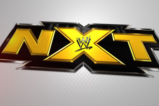 WWE NXT: Who Are the Most Impressive Wrestlers So Far Since the Format Change?