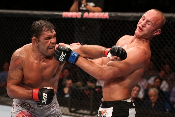 UFC 153 Results: 5 Fights for Dave Herman to Take Next