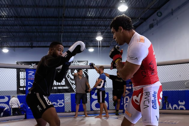 UFC's Top 10 Strikers in Light Heavyweight Division