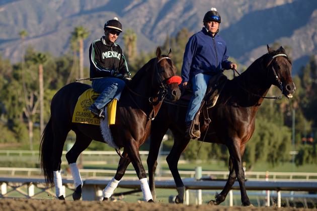 Breeders' Cup Predictions: Separating the Pretenders from Contenders