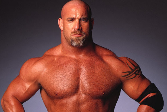 WWE '13: 10 Legends Who Should Be in WWE '14 Next Year