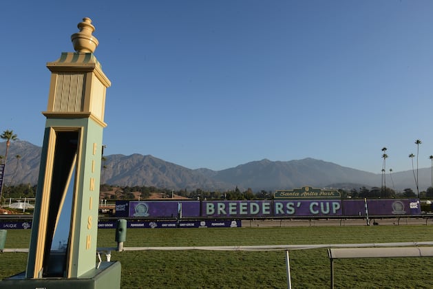 Breeders' Cup Entries: Complete List of Horses for Classic Race